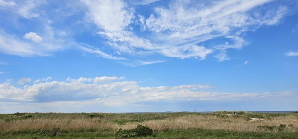 Frische-brise-05-09 *